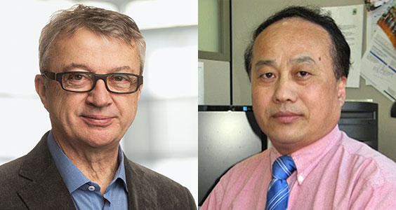 New RSC Fellows: Dumont and Zhang 